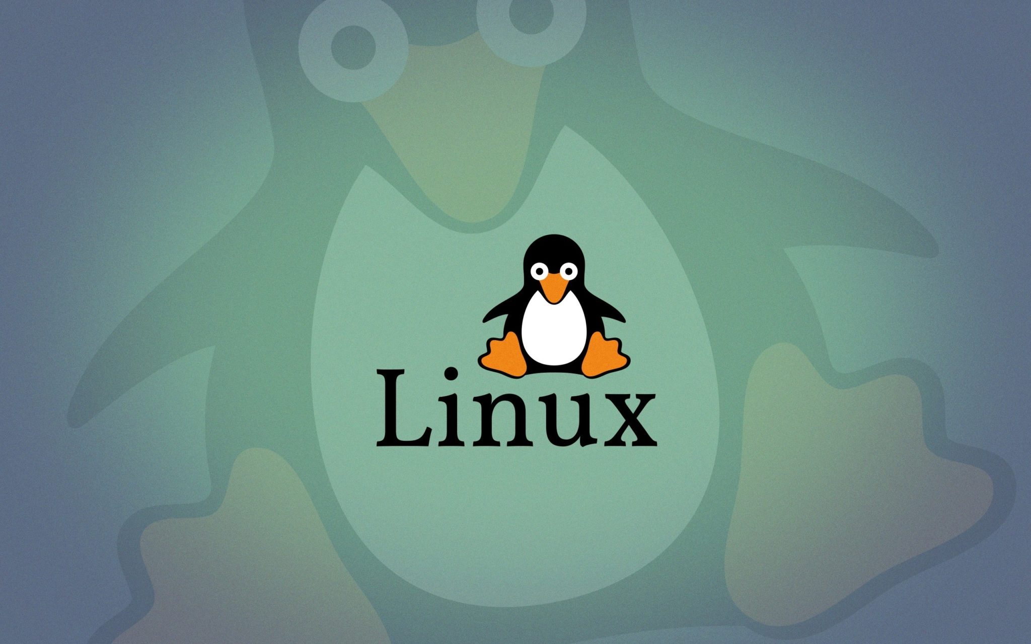 Steam linux online фото 89